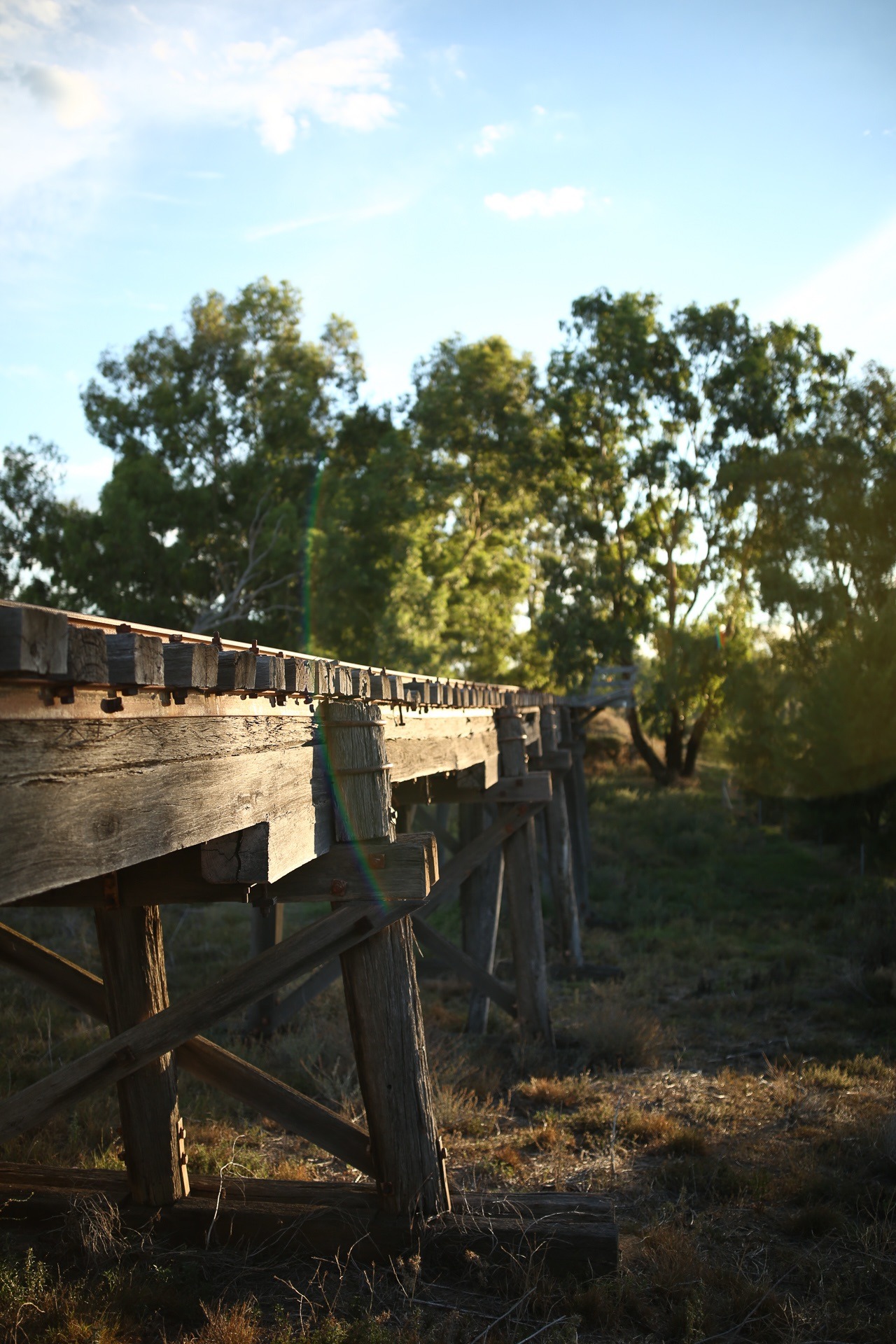 Laing O-Rourke Albury to Parkes Bid / Laing O-Rourke Delivery Partner Business Development 